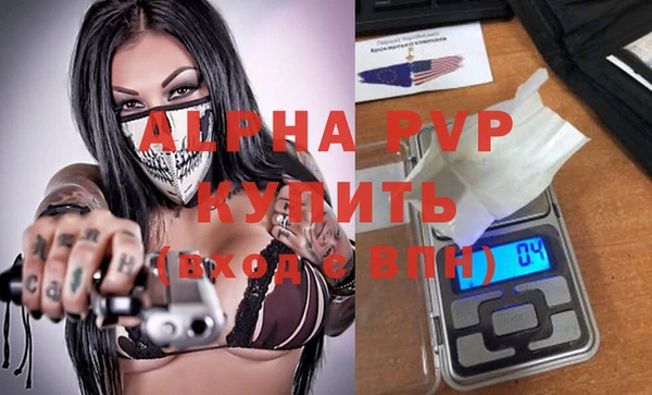 spice Верея